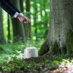 Urnenbeisetzung in einem Bestattungswald